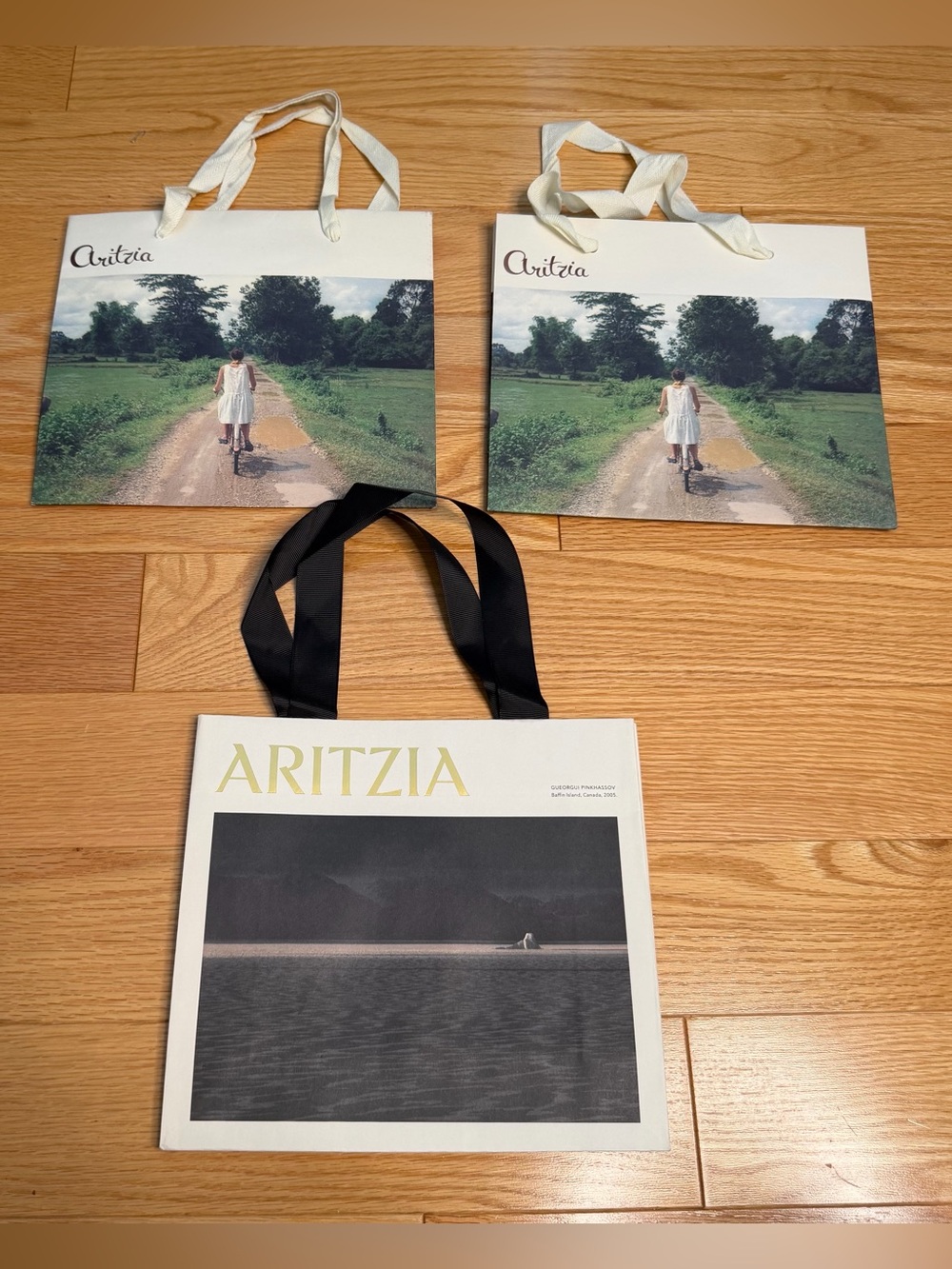 Aritzia White Shopping Gift Bags with Scenic Print and Ribbon Handles - Set of 3